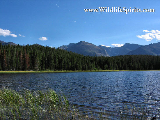 Click Picture to send as an  E-PostCard 65k 550x412